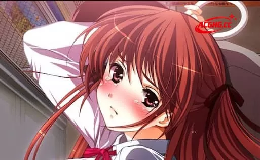 【ADV/AI汉化/CV/全CG存档】痴汉专用车厢 HD重制版【PC/2.73G】